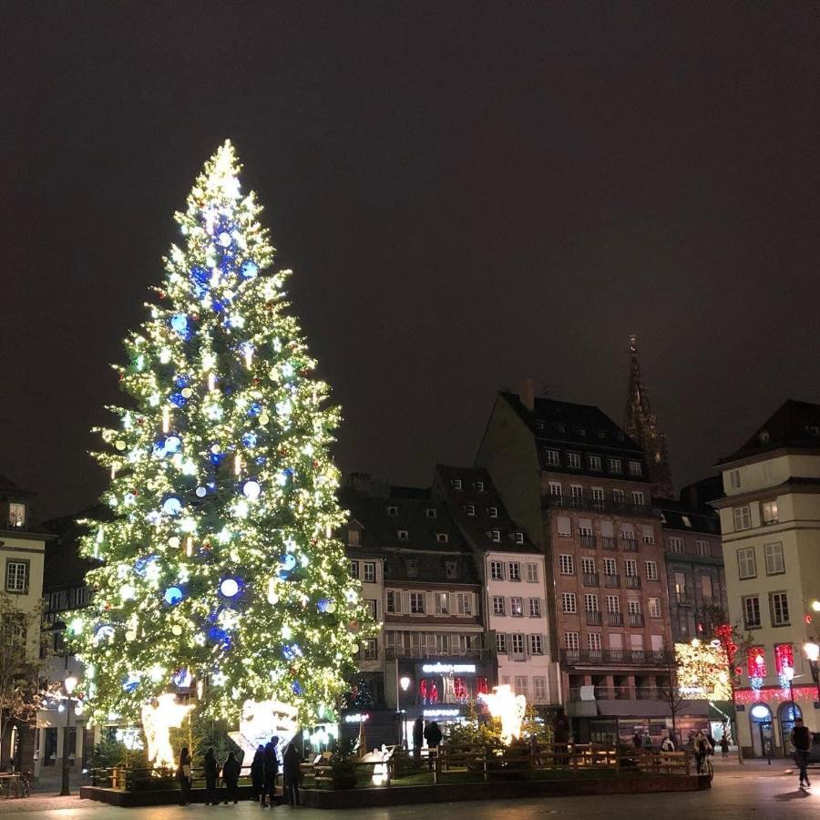 Loft Saint Thomas - Petite France Lägenhet Strasbourg Exteriör bild